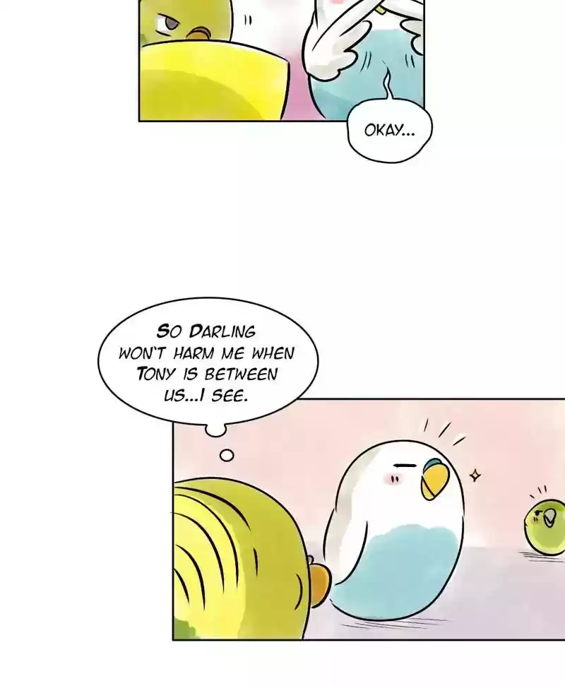 A Budgie's Life Chapter 140: Ep.140:
