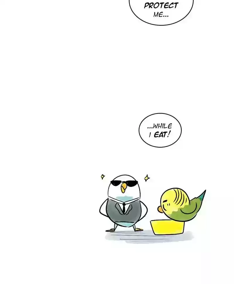 A Budgie's Life Chapter 140: Ep.140: