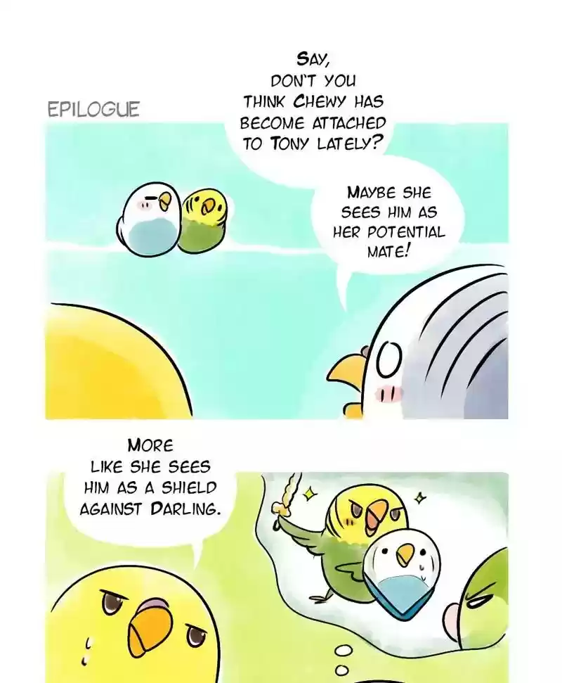 A Budgie's Life Chapter 140: Ep.140: