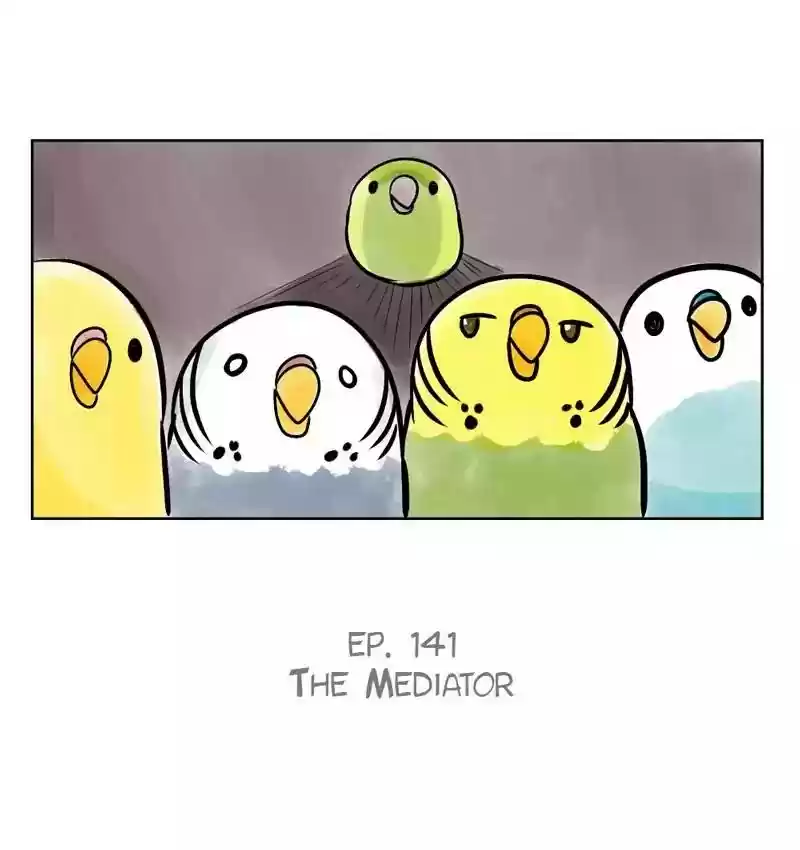 A Budgie's Life Chapter 141: Ep.141: