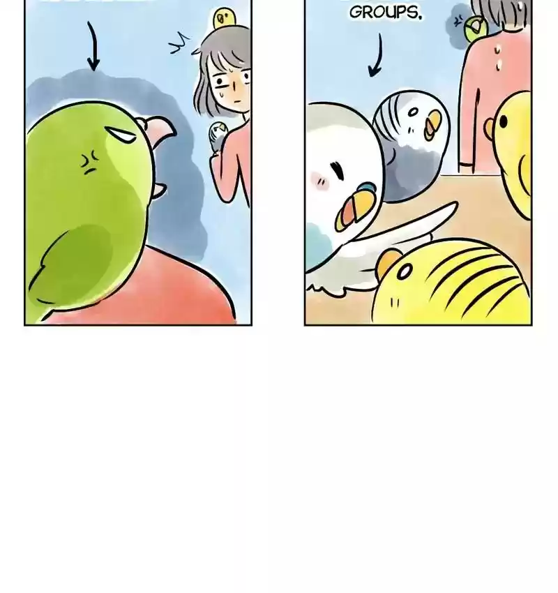 A Budgie's Life Chapter 141: Ep.141: