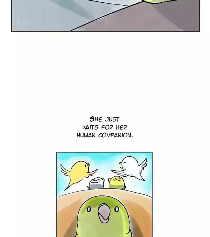 A Budgie's Life Chapter 141: Ep.141: