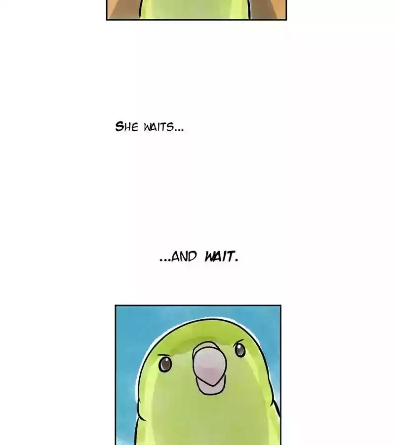 A Budgie's Life Chapter 141: Ep.141: