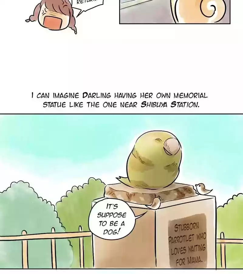 A Budgie's Life Chapter 141: Ep.141: