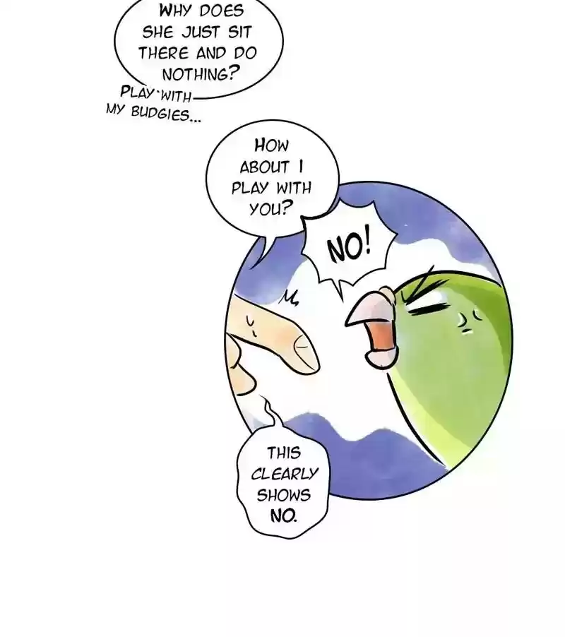 A Budgie's Life Chapter 141: Ep.141: