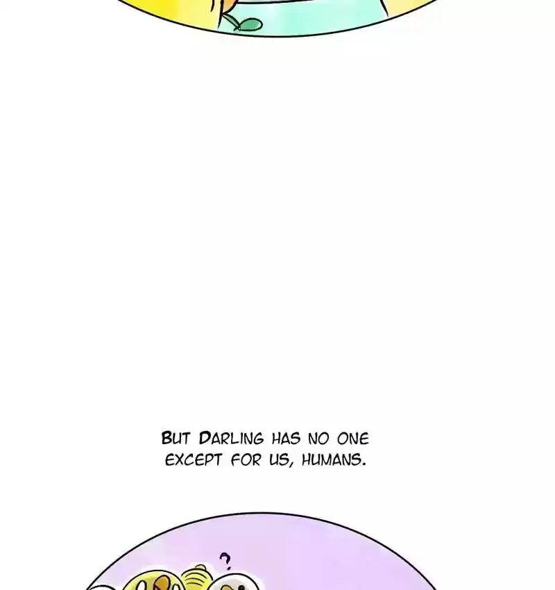 A Budgie's Life Chapter 141: Ep.141: