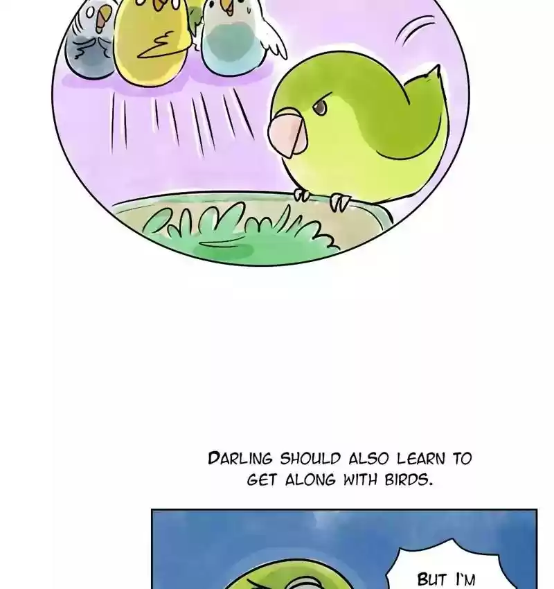 A Budgie's Life Chapter 141: Ep.141: