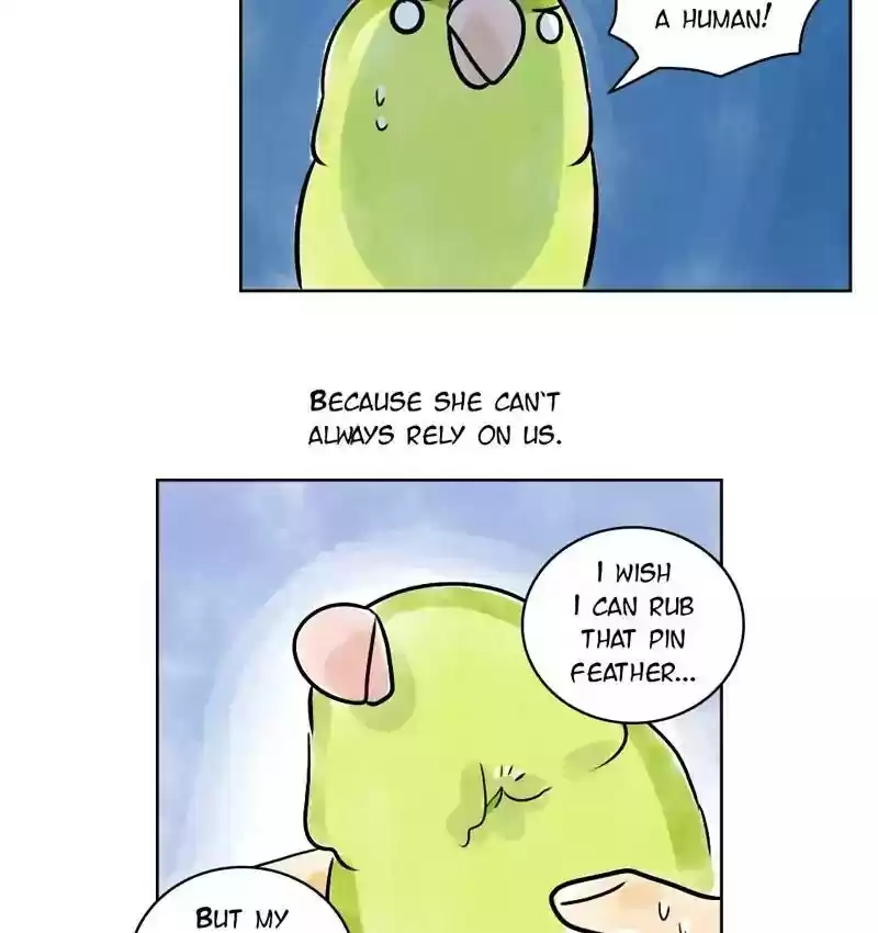 A Budgie's Life Chapter 141: Ep.141: