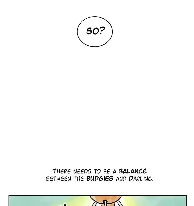 A Budgie's Life Chapter 141: Ep.141: