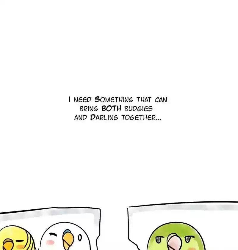 A Budgie's Life Chapter 141: Ep.141: