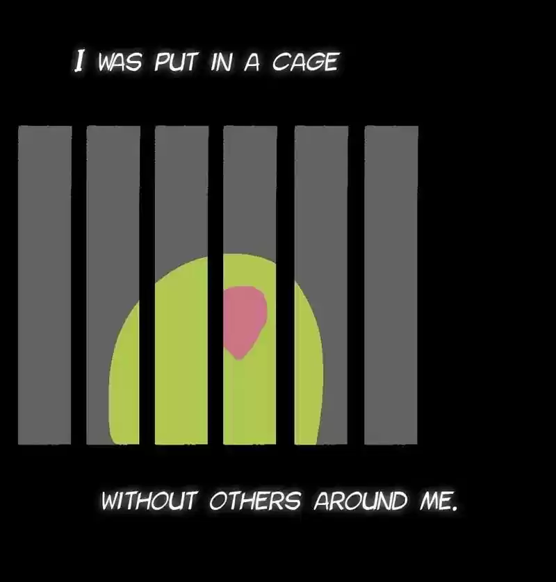 A Budgie's Life Chapter 142: Ep.142: