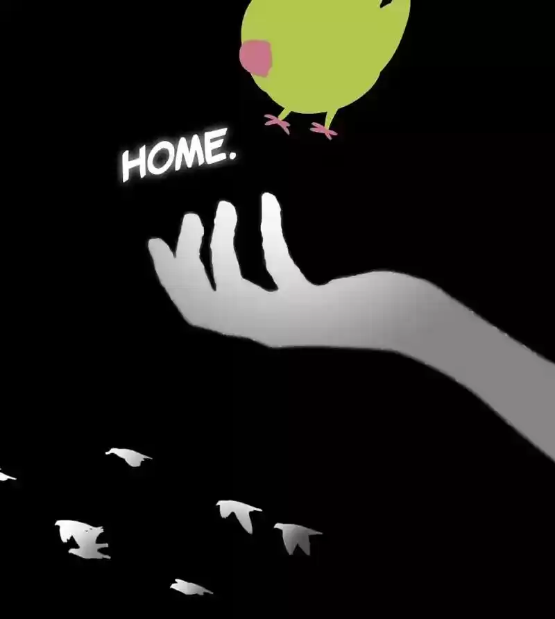 A Budgie's Life Chapter 142: Ep.142: