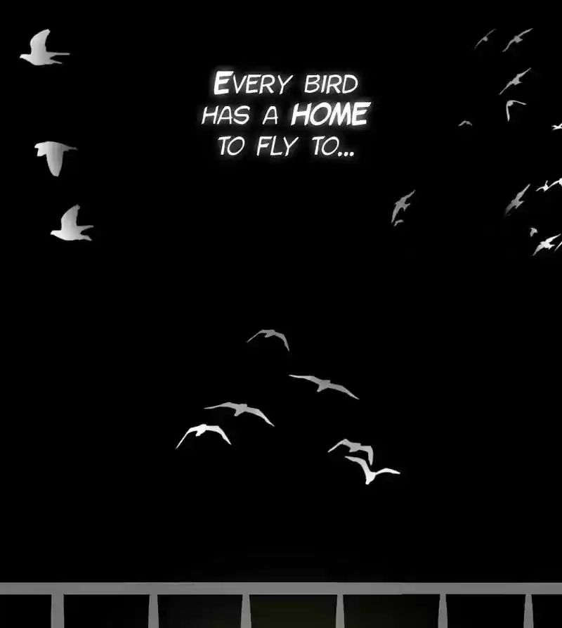 A Budgie's Life Chapter 142: Ep.142: