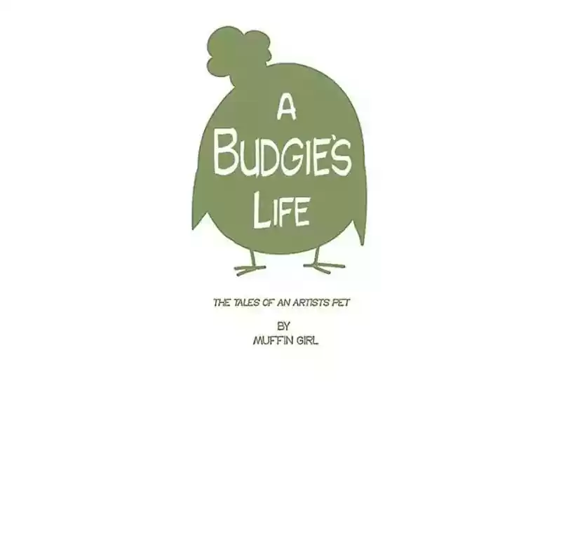A Budgie's Life Chapter 142: Ep.142: