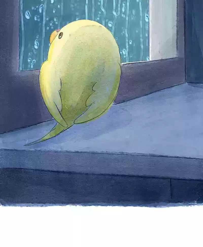 A Budgie's Life Chapter 143: Ep.143: