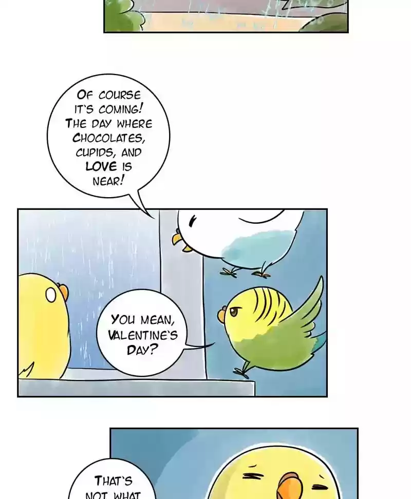 A Budgie's Life Chapter 143: Ep.143:
