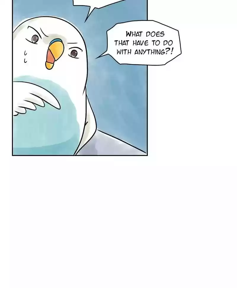 A Budgie's Life Chapter 143: Ep.143: