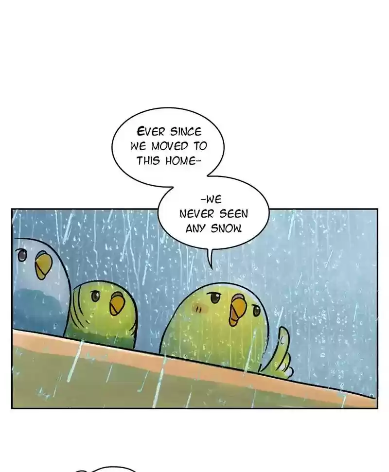 A Budgie's Life Chapter 143: Ep.143: