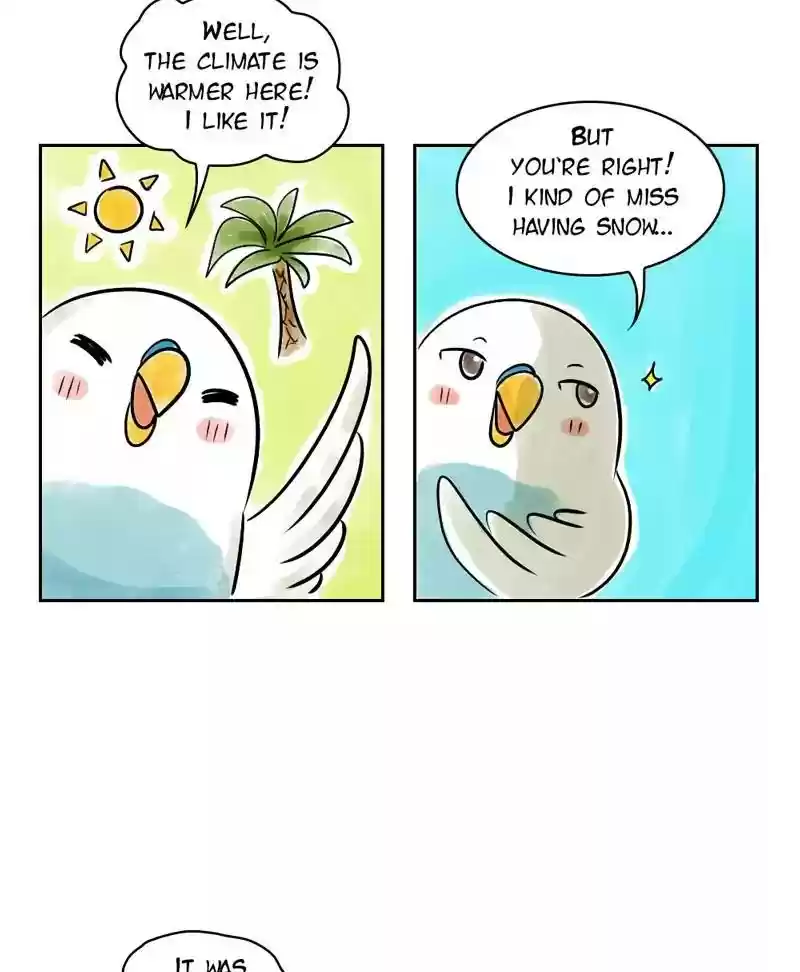 A Budgie's Life Chapter 143: Ep.143: