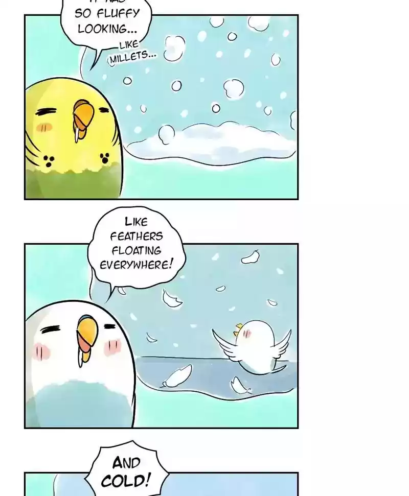 A Budgie's Life Chapter 143: Ep.143: