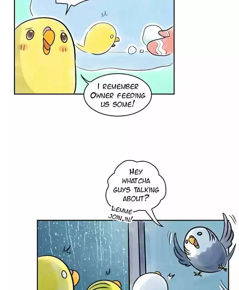 A Budgie's Life Chapter 143: Ep.143: