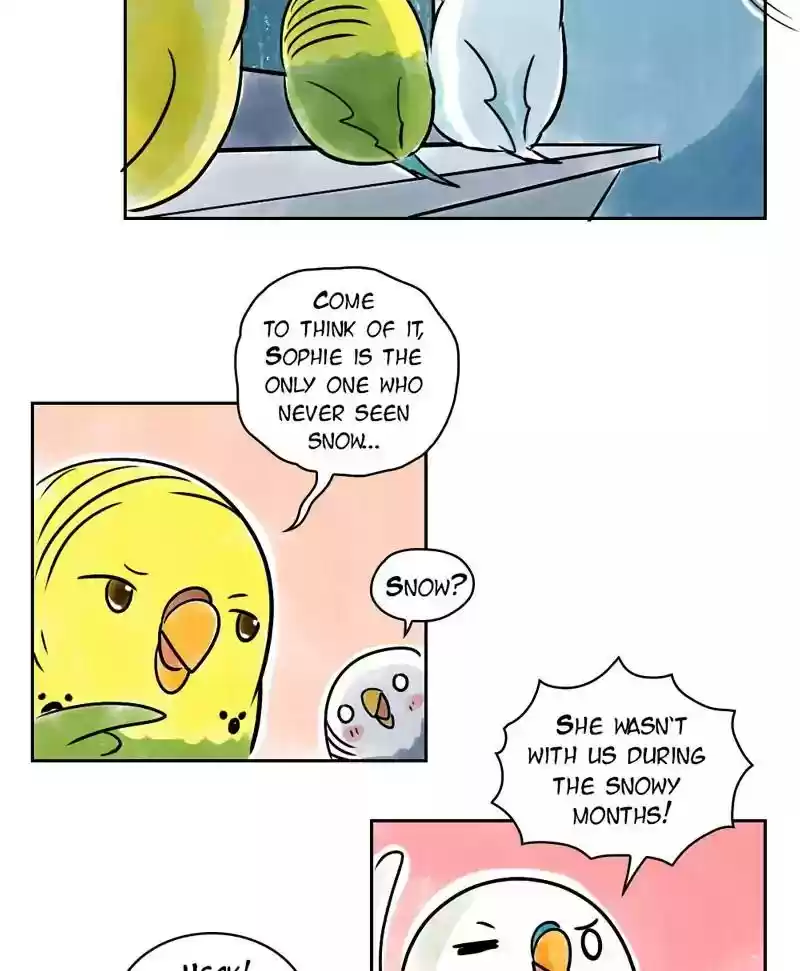 A Budgie's Life Chapter 143: Ep.143: