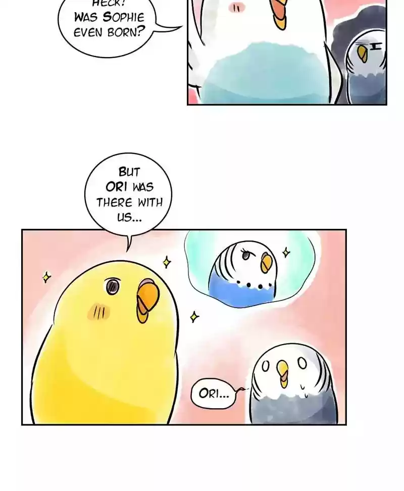 A Budgie's Life Chapter 143: Ep.143: