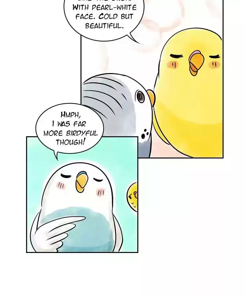 A Budgie's Life Chapter 143: Ep.143: