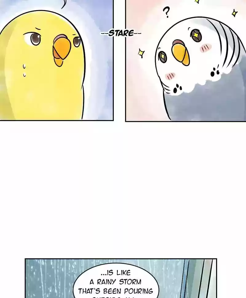 A Budgie's Life Chapter 143: Ep.143: