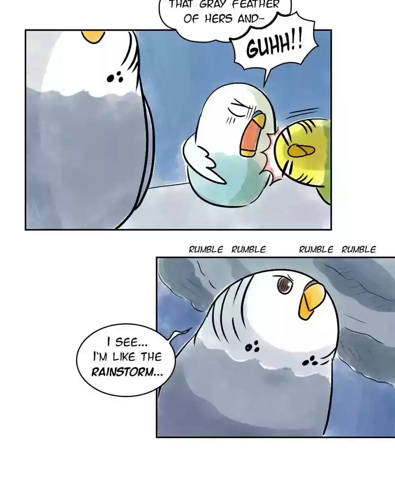 A Budgie's Life Chapter 143: Ep.143: