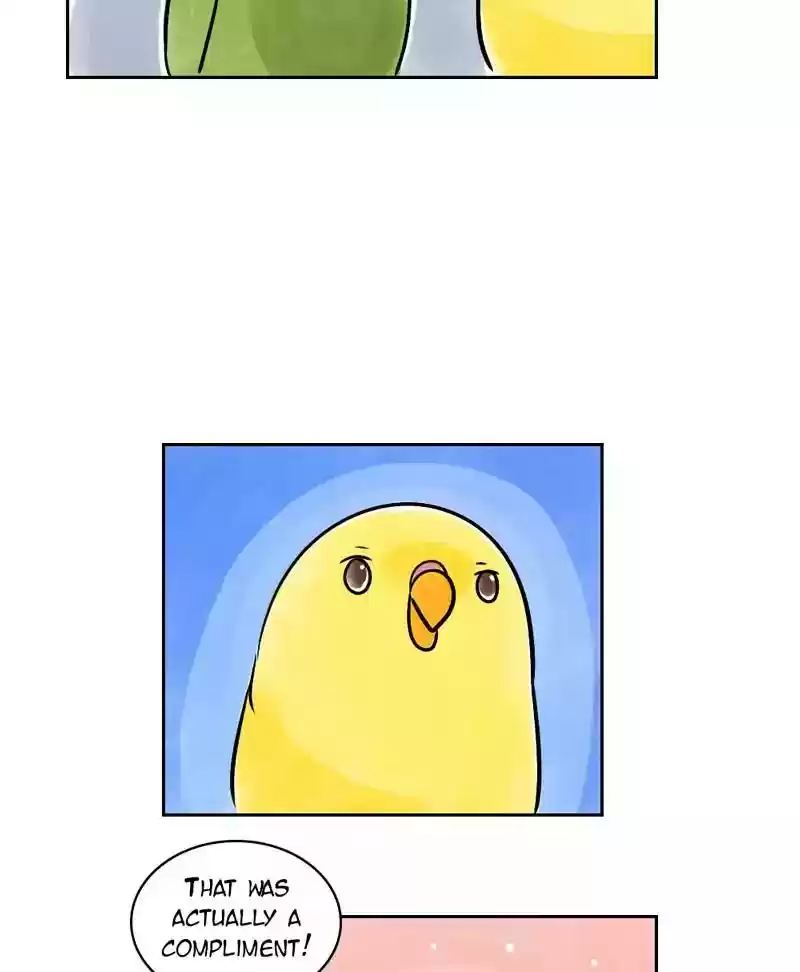 A Budgie's Life Chapter 143: Ep.143:
