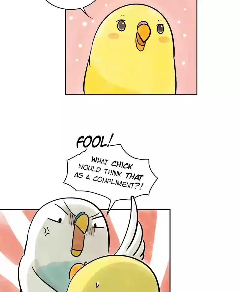 A Budgie's Life Chapter 143: Ep.143: