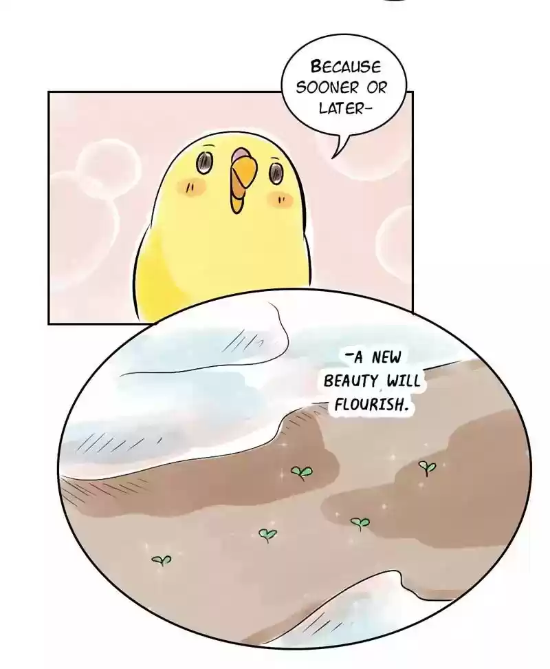 A Budgie's Life Chapter 143: Ep.143: