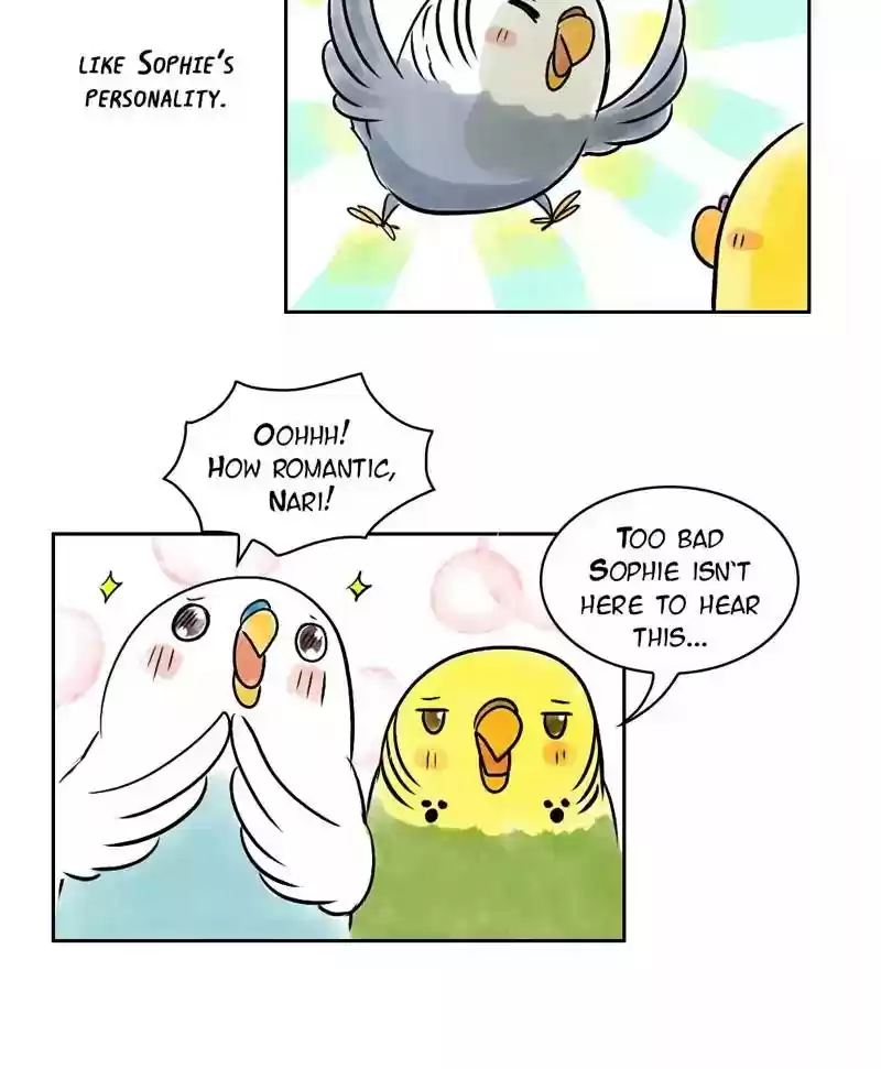 A Budgie's Life Chapter 143: Ep.143: