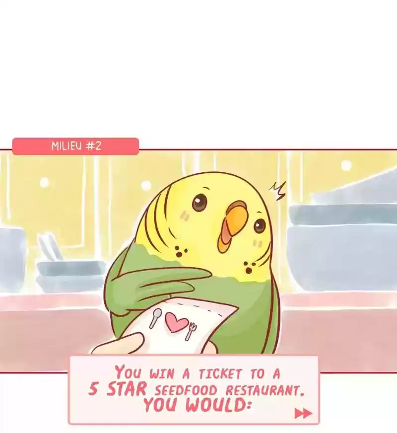 A Budgie's Life Chapter 144: Ep.144: