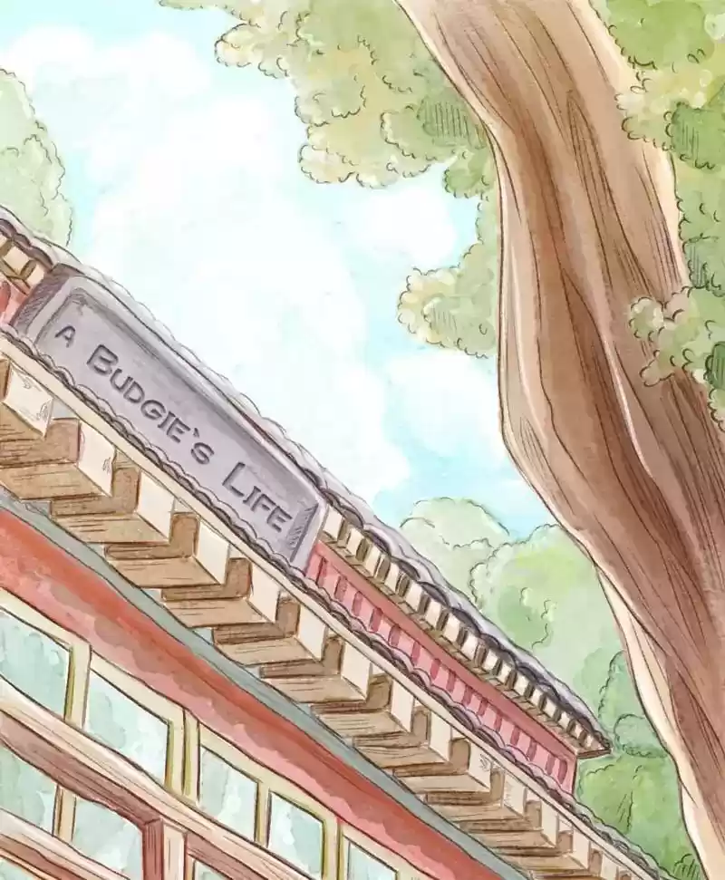 A Budgie's Life Chapter 145: Ep.145: