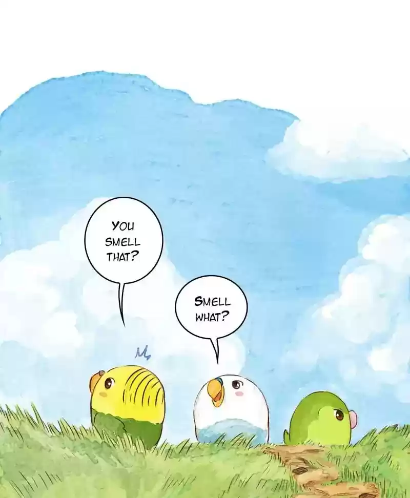 A Budgie's Life Chapter 145: Ep.145: