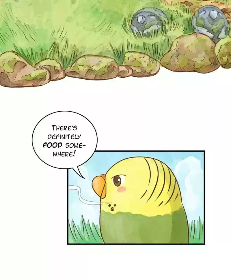 A Budgie's Life Chapter 145: Ep.145: