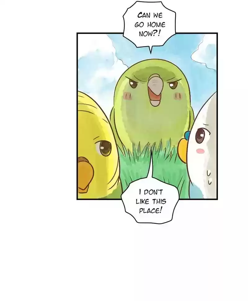 A Budgie's Life Chapter 145: Ep.145: