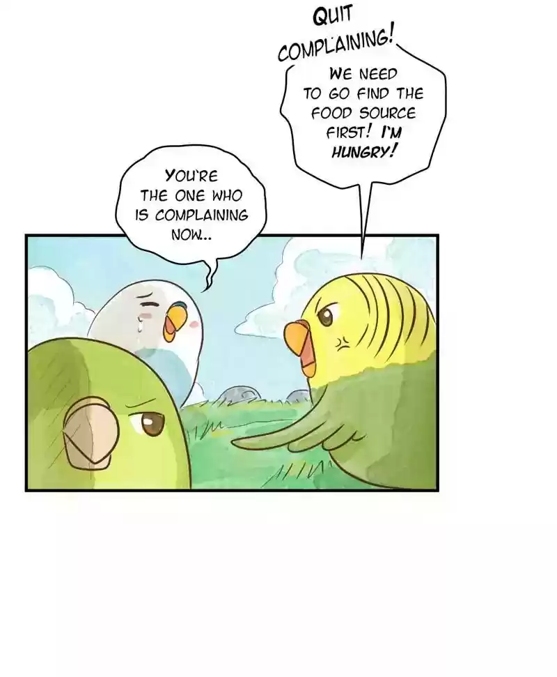 A Budgie's Life Chapter 145: Ep.145: