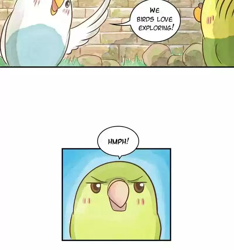 A Budgie's Life Chapter 145: Ep.145: