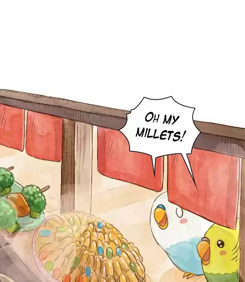 A Budgie's Life Chapter 145: Ep.145: