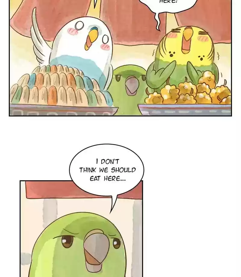 A Budgie's Life Chapter 145: Ep.145: