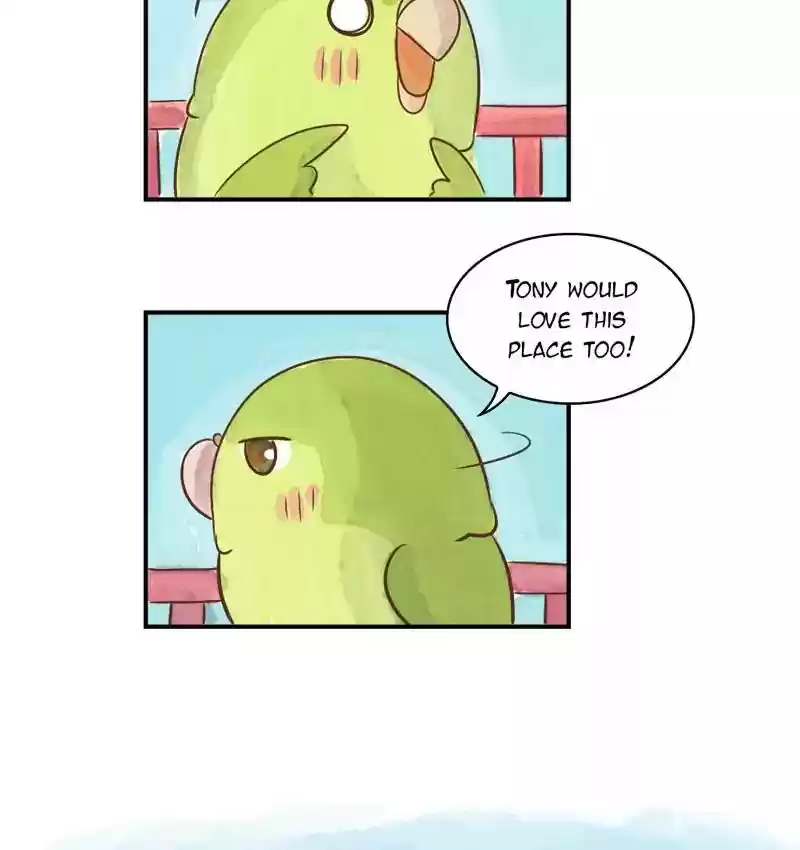 A Budgie's Life Chapter 145: Ep.145: