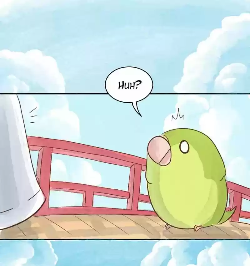 A Budgie's Life Chapter 145: Ep.145: