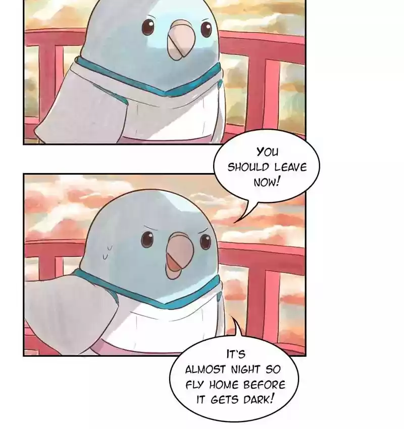 A Budgie's Life Chapter 146: Ep.146: