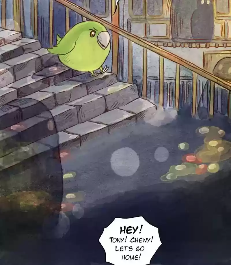 A Budgie's Life Chapter 146: Ep.146: