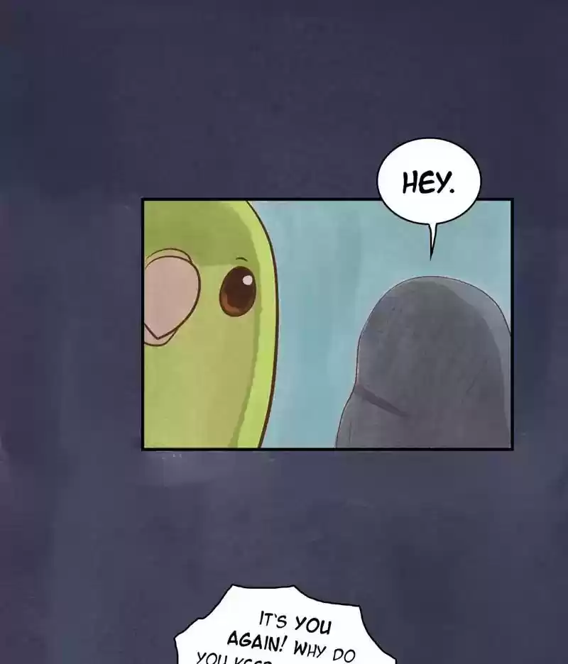 A Budgie's Life Chapter 146: Ep.146: