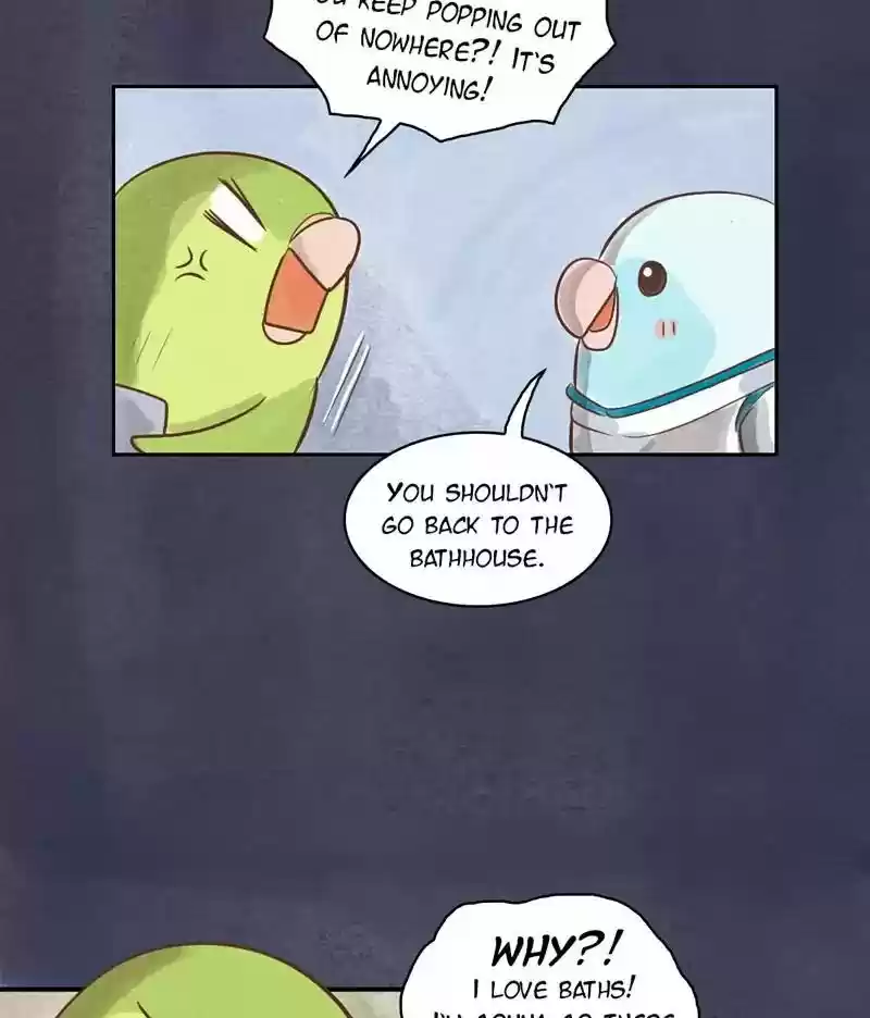 A Budgie's Life Chapter 146: Ep.146: