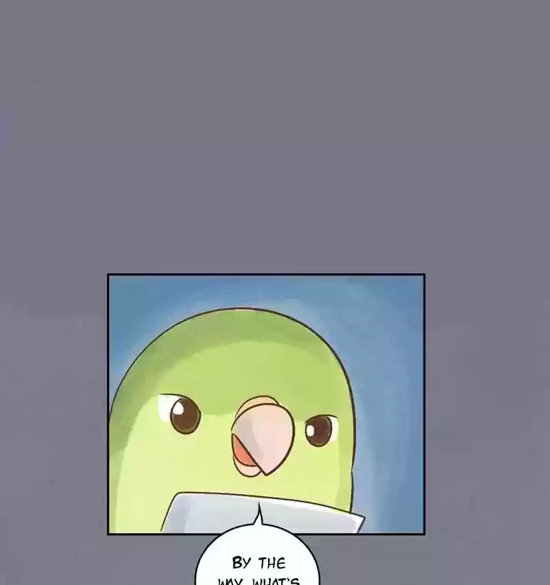 A Budgie's Life Chapter 146: Ep.146: